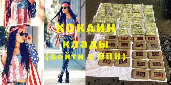 мяу мяу кристалл Няндома