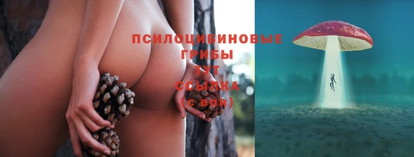 гидропоника Осташков