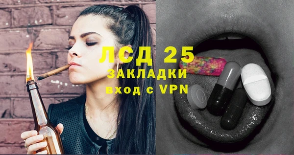 дживик Осинники