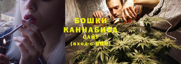 дживик Осинники