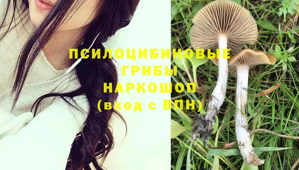 гидропоника Осташков