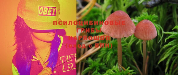гидропоника Осташков