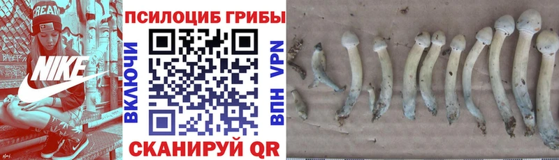 Галлюциногенные грибы прущие грибы  нарко площадка Telegram  Мамоново 